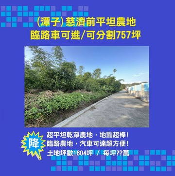 (開價低於實價)！慈濟前臨路農地!可分割｜台中市潭子區潭興路一段