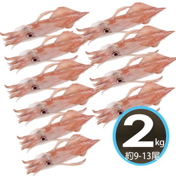 【華得水產】台灣船凍透抽2公斤（約9~13條）_廠商直送