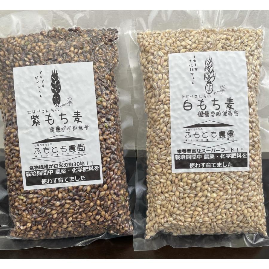 もち麦（ダイシモチ）玄麦１kg