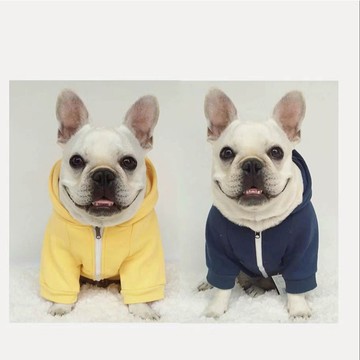 【現貨出清－優惠出清💲】 連帽外套 拉鍊款小口袋 狗衣服 小型犬 雪納瑞 西高地 柯基 法鬥 柴犬 英鬥 巴哥 柯基