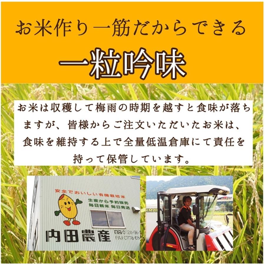 イクヒカリ 玄米 30キロ 送料無料 令和5年度産 新米 1等級 福井県産 令和 おいしいお米 ふるさとの味