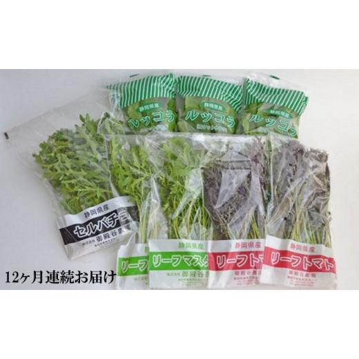 ふるさと納税 静岡県 藤枝市 定期便 12回 国産 ハーブ 野菜 詰め合わせ 約 450g 5種 8袋 セット × 12ヶ月 お届け ルッコラ 約 50g × 3袋 リーフトマト 赤か…