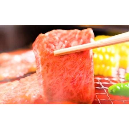 ふるさと納税 博多 和牛 焼肉 セット 500g A4〜A5 配送不可：離島 福岡県朝倉市