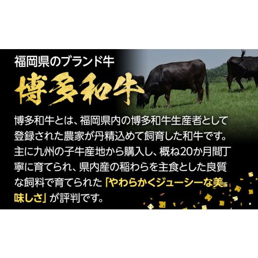 ふるさと納税 福岡県 田川市 すき焼き・焼肉用肩ロース400g＆ロースステーキ2枚セット |牛肉 焼肉 すき焼き 肩ロース お肉 肉 ステーキ肉 ステーキ すき焼き肉…