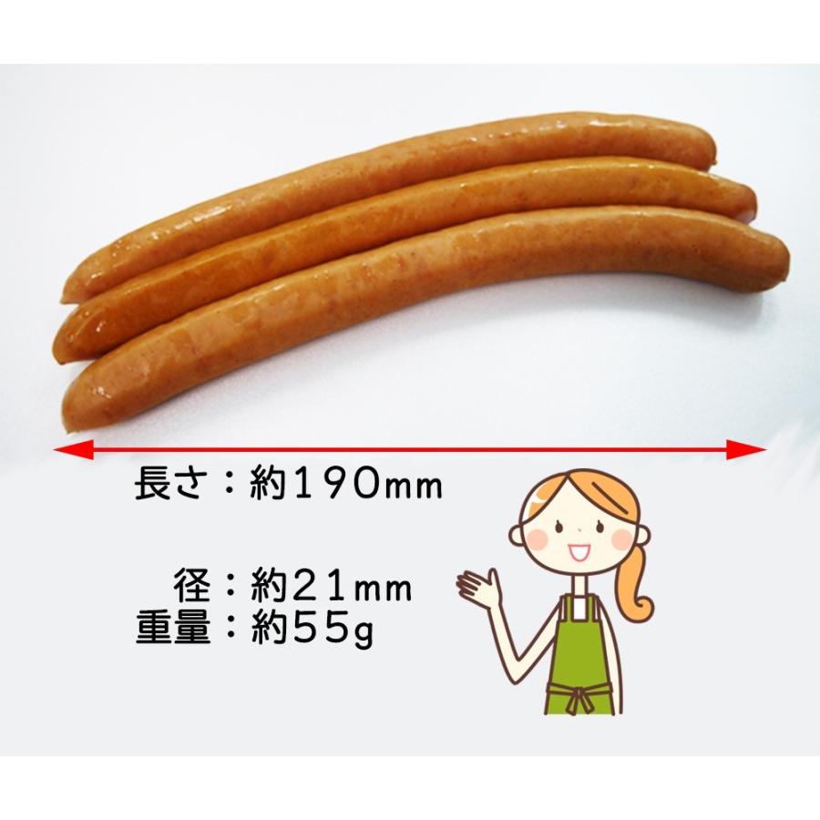 ウインナー ソーセージ 業務用 あらびき プリマハム BBQ ホットドッグ お徳用 ロングタイプポークウインナー55g×20本×5パック 送料込