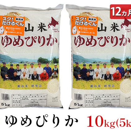 12ヵ月連続お届け　銀山米研究会の無洗米＜ゆめぴりか＞10kg