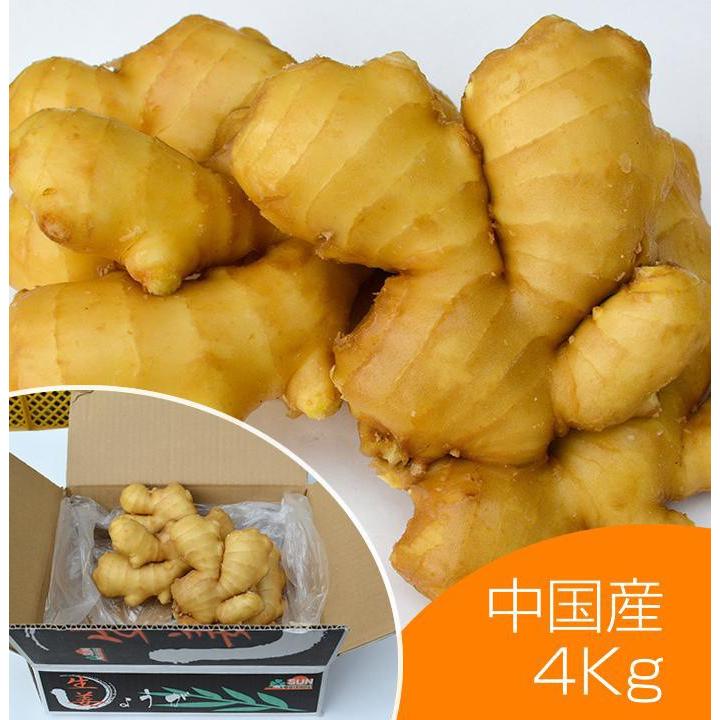 食用 中国産 黄金生姜 4kg（近江生姜 黄色）