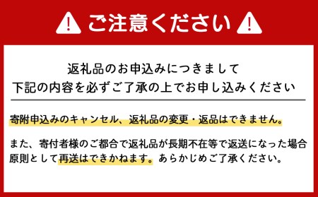 2024年夏発送 キリン本麒麟500ｍl 12缶＆白いとうもろこしピュアホワイト9本