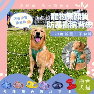 【外出必備】馬卡龍色胸背帶韓流高顏質｜馬卡龍色胸背帶 韓流 高顏質 舒適 減壓 防爆衝胸背帶 狗狗胸背帶 H型狗胸背