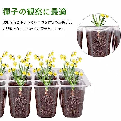 育苗ポット 3個セット 育苗トレイ 育苗箱 12穴 高くする透明カバー 種子トレイ 発芽?育苗セット 種まきハウス 苗箱 種まき器 育苗ボックス