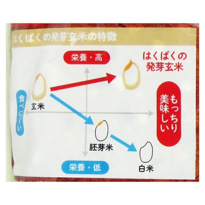 米 お米 こめ 玄米 発芽玄米はくばく もっちり美味しい発芽玄米＋五穀 1kg × 2袋