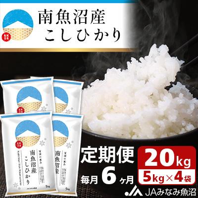 ふるさと納税 南魚沼市 南魚沼産こしひかり 精米 20kg(5kg×4袋) 全6回