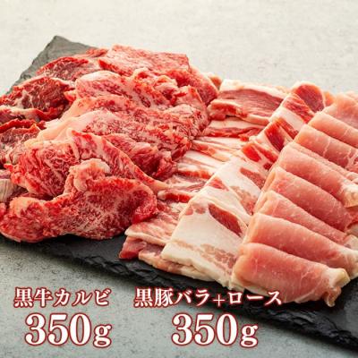 ふるさと納税 大崎町 鹿児島黒豚・黒牛焼肉セット