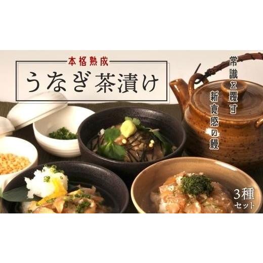 ふるさと納税 鹿児島県 大崎町 本格こだわり熟成／最高級うなぎ龍鰻茶漬けセット