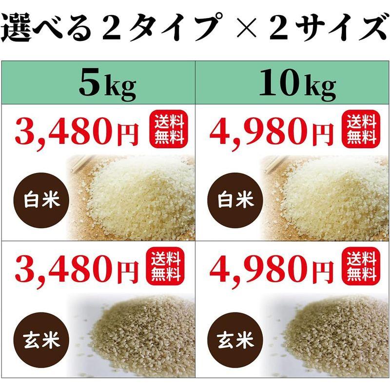 精米ひのひかり（ヒノヒカリ） 宮崎県高千穂町産 棚田米 (5kg, 白米) 令和4年産