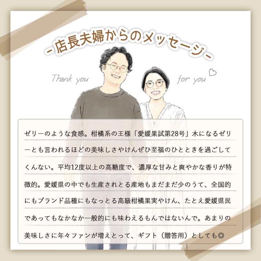 愛媛果試第28号 5kg みかん 愛媛 送料無料 ギフト 柑橘 果汁 果物 高級 秀品 特選 特秀 小玉 大玉 高糖度 甘い 産地直送 贈答 家庭 ハウスみかん お歳暮