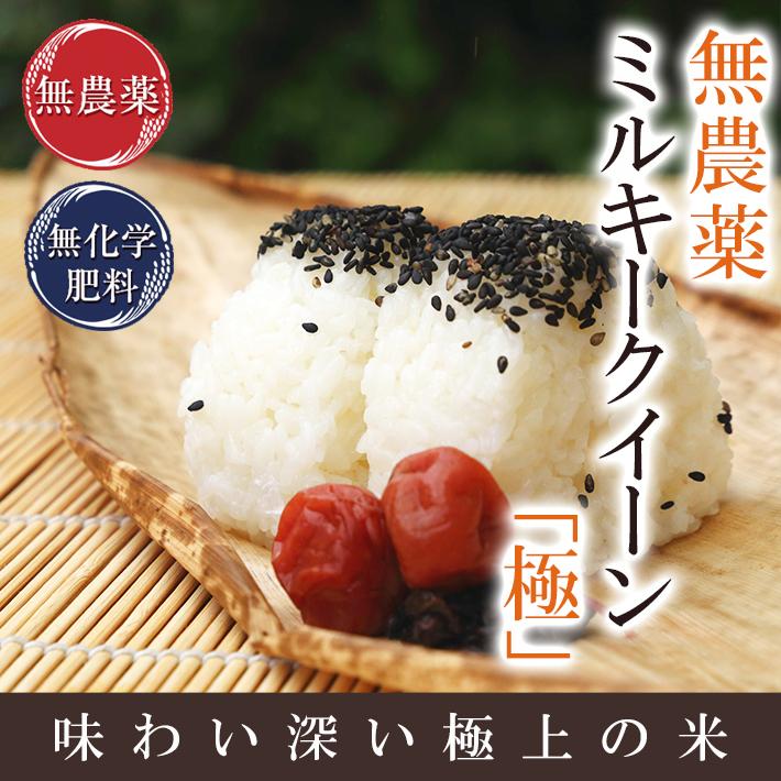 無農薬 玄米 米 10kg(5kg×2）無農薬 ミルキークイーン 極 令和5年福井県産 新米入荷 送料無料 無農薬・無化学肥料栽培