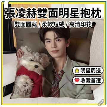 張淩赫抱枕 張凌赫周邊 張凌赫沙發抱枕 學生宿舍午睡枕頭靠墊 可拆洗抱枕 臥室枕頭床頭靠墊靠枕 雙面抱枕 送閨蜜同學禮物