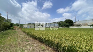 六和高中大農地｜桃園市平鎮區六和段