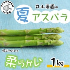 丸山農園の夏アスパラ1kg