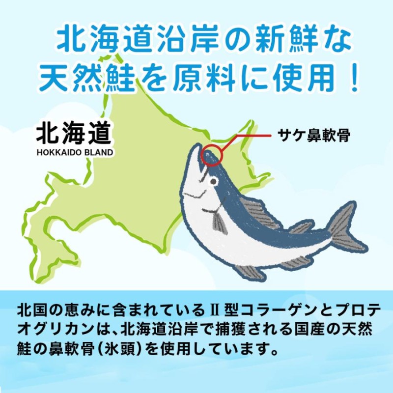 北国の恵み 30粒 約10日分 プロテオグリカン サプリ サプリメント