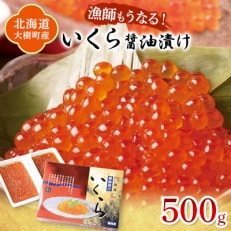 北海道産 鮭いくら醤油漬け 計500g(250g×2パック)