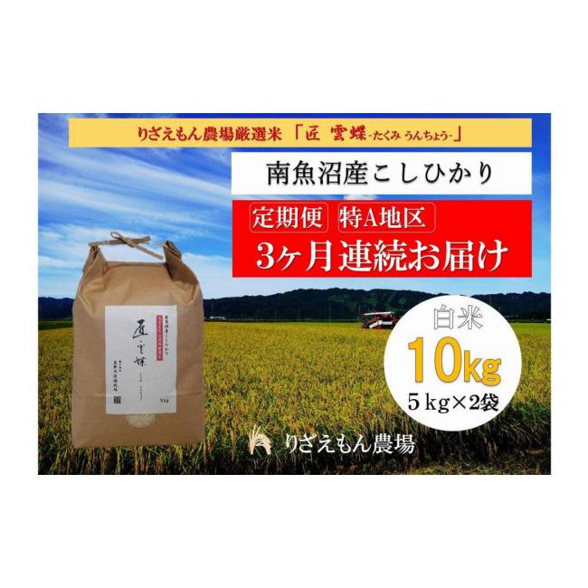 ふるさと納税 新潟県 南魚沼市 令和５年産　南魚沼産コシヒカリ　　　白米10kg＼生産農家直送／