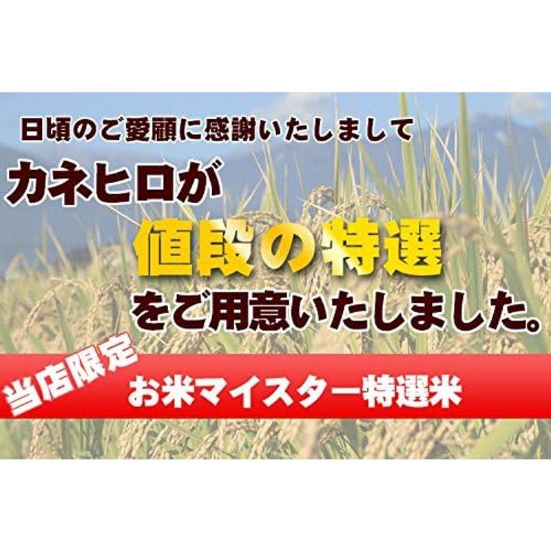 埼玉県産 白米 無洗米 10kg (5kg×2) お米マイスター4年産