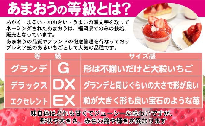 あまおう DX等級以上 約300g×2パック ※配送不可：北海道・東北・沖縄・離島