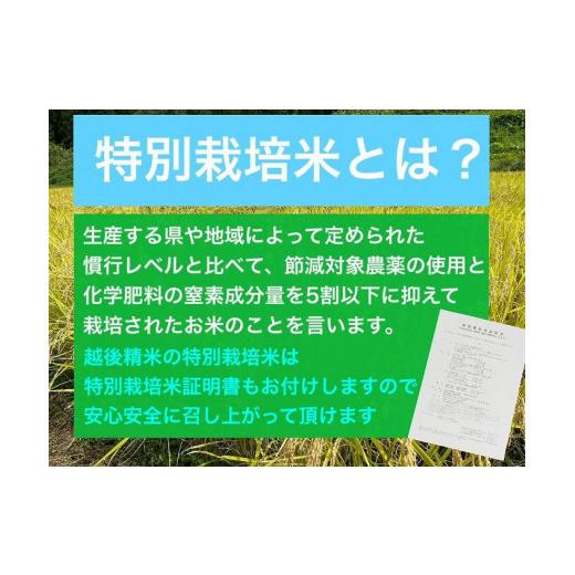 ふるさと納税 新潟県 新潟県旧中郷村減農薬特別栽培米コシヒカリ 10kg（5kg×2袋）