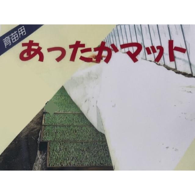 育苗シート　あったかマット　厚さ0.3mm×長さ6m×幅210cm