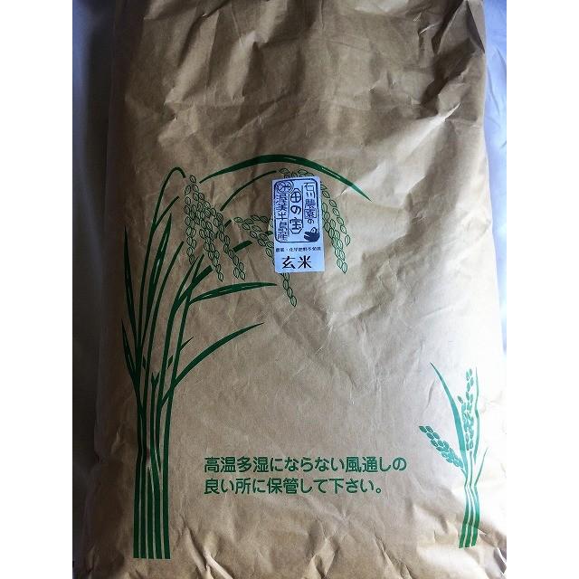 令和4年産ミルキークイーン玄米　30kg　農薬・化学肥料不使用　精米無料（3分・5分・7分・白米）