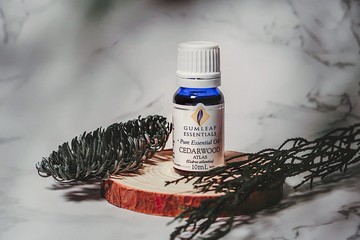 Cedarwood Atlas 大西洋雪松精油