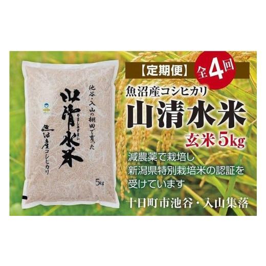 ふるさと納税 新潟県 十日町市 玄米5kg　新潟県魚沼産コシヒカリ「山清水米」