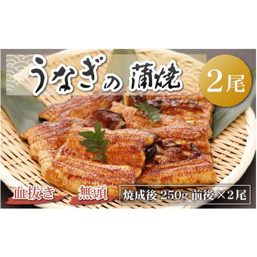 ふるさと納税 福井県 勝山市 血抜きうなぎの蒲焼（無頭）焼成後250g前後×2尾 国産 [B-044001]