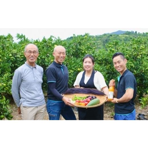 ふるさと納税 和歌山県 有田川町 採れたて新鮮園主おすすめ季節の野菜セット