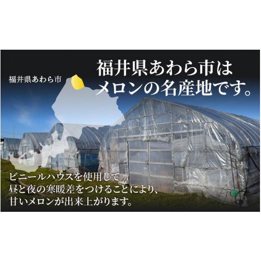 ふるさと納税 福井県 あわら市 レノンメロン・ペルルメロン セット 4L 計2玉入（約3〜4kg）  秀品 ／ 赤肉 青肉 食べ比べ マスクメロン 農家直送 …