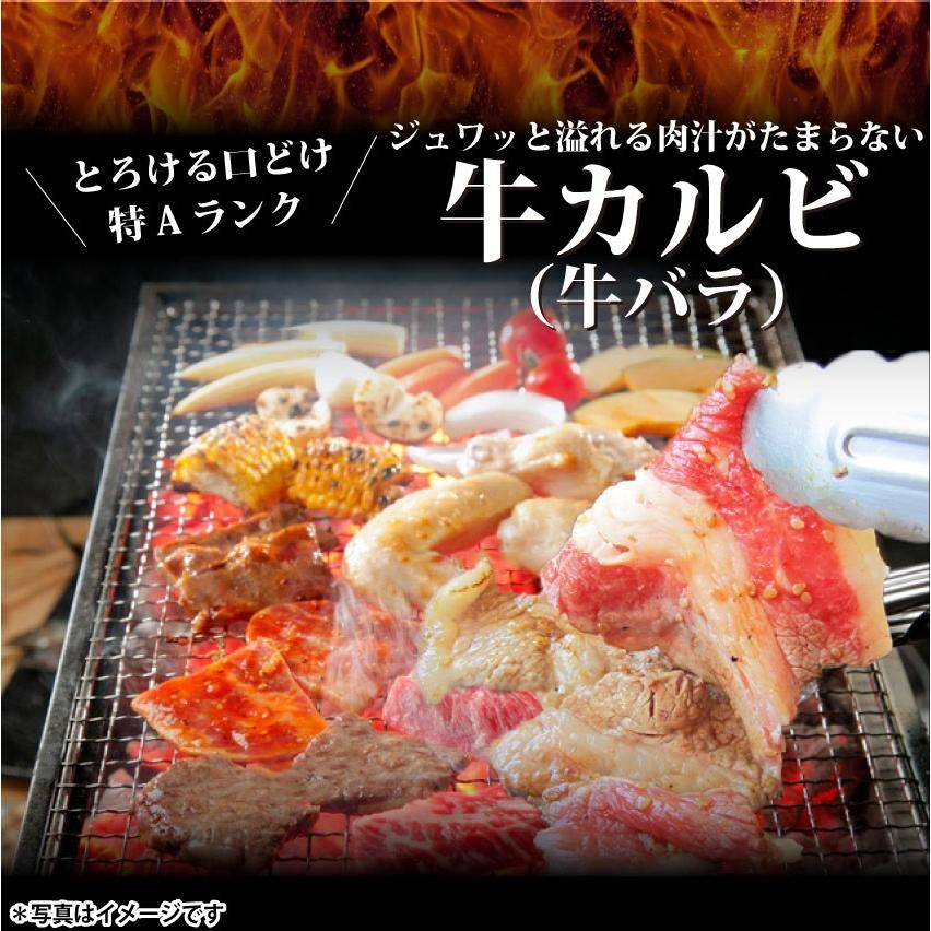 焼肉 牛肉 肉 牛 タレ漬け カルビ バラ 200g 焼肉用 秘伝 焼くだけ おつまみ 冷凍弁当 キャンプ キャンプ飯