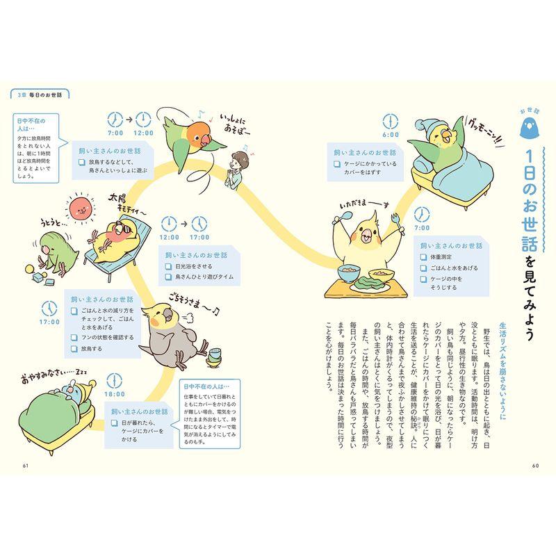 BIRDSTORYのインコの飼い方図鑑