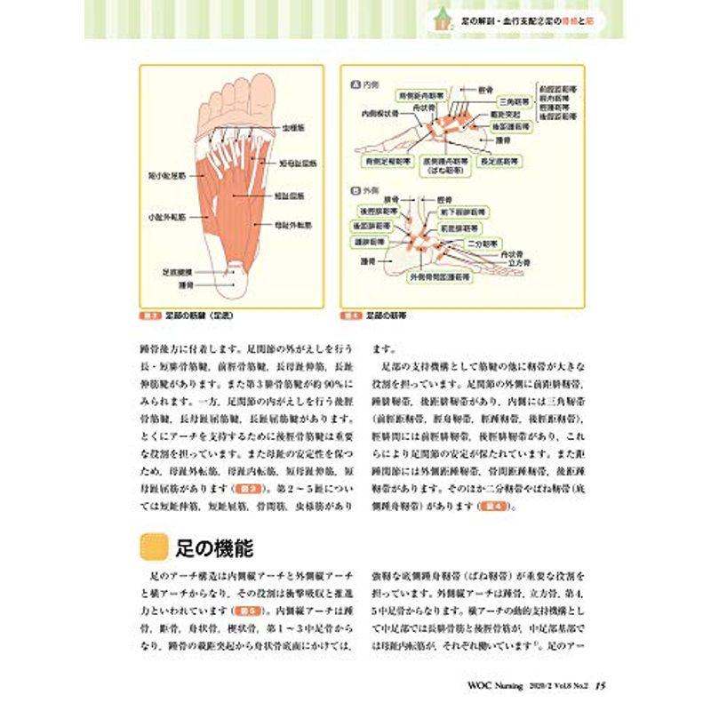 WOC Nursing 2020年2月 Vol.8No.2 特集：フットケアで下肢潰瘍を防ごう ?糖尿病・透析患者における末梢動脈疾患?