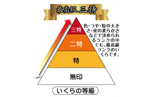 三陸産 甘塩いくら 200g×３箱