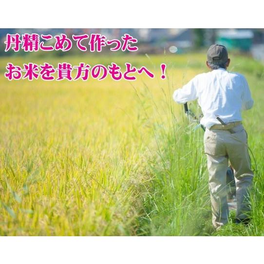 山形県産 お米 10kg  はえぬき 送料無料 お米 10キロ お取り寄せ 山形米 庄内米 ブランド米 お米 ごはん おにぎり 美味しい おいしい