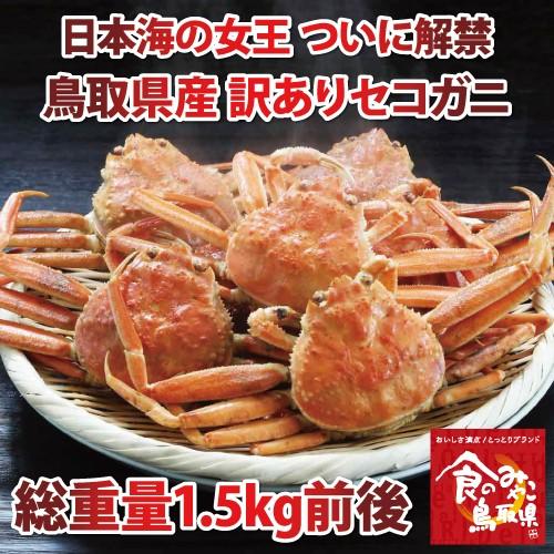 松葉ガニの雌 セコガニ 訳あり (茹で)総重量1.5kg前後