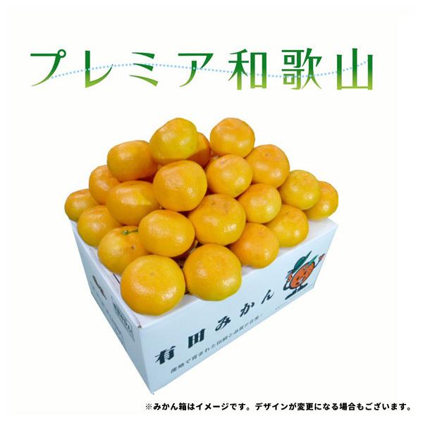 有田みかん 2Lサイズ以上の大玉みかん 5kg 化学肥料不使用 減農薬 和歌山有田山田原みかん やまがみかん園 送料無料