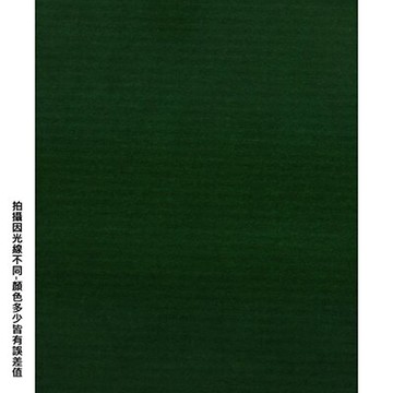 【文具通】全開粉彩紙17 深綠 P1330019