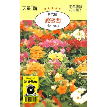 花田綠地種子 愛密西