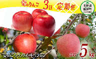 旬のりんご 3種 《 定期便 》 5kg × 3回 Cコース 沖縄県への配送不可 2023年9月上旬頃から2023年12月下旬頃まで順次発送予定 ふるさと振興公社 長野県 飯綱町 [0299]