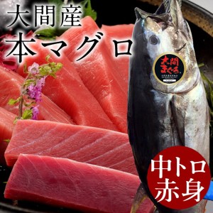 まぐろ大間産 天然本マグロ 赤身・中トロセット [200g 200g] 大間のまぐろ 一本釣り 生まぐろ 刺身用 大間港直送［秋の味覚 ギフト］