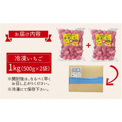 ふるさと納税 福井県 高浜町 いちご農園のブランド苺(冷凍いちご×1kg)|