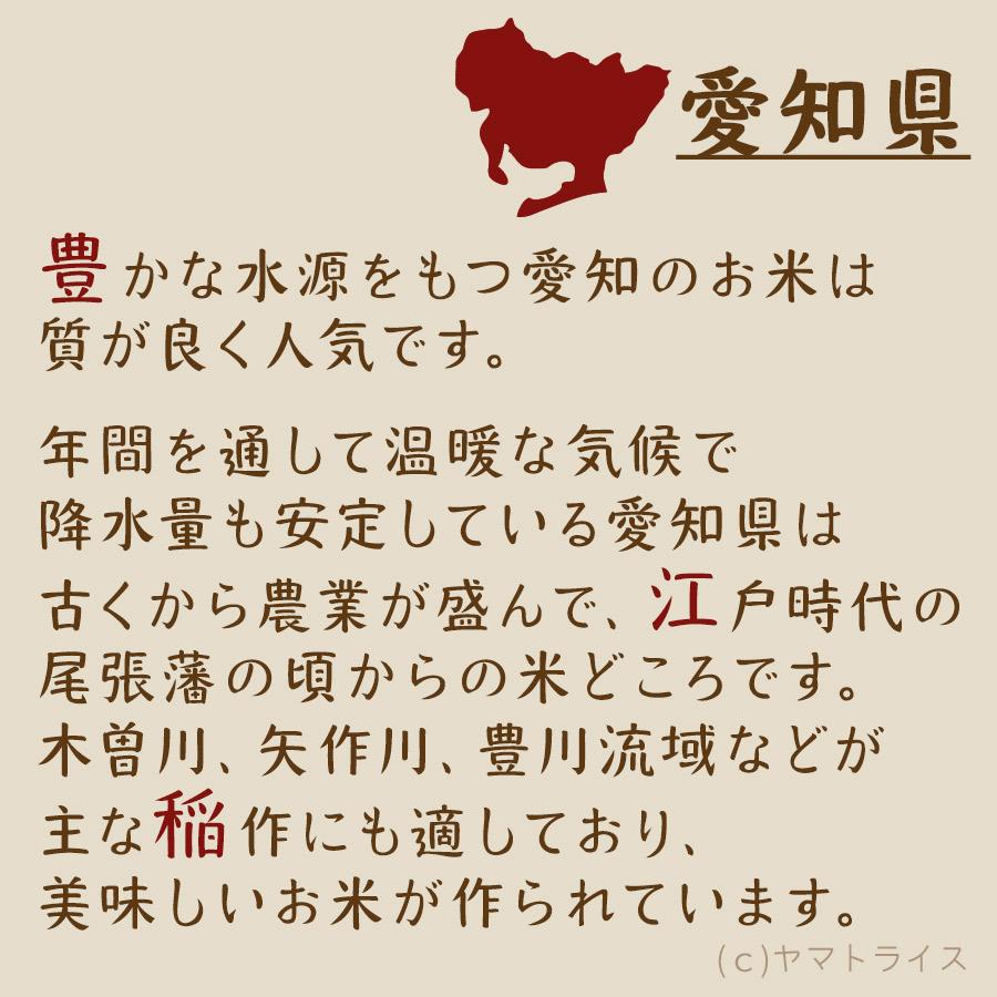 米 お米 20kg あいちのかおり 愛知県産 5kg×4 白米 令和5年産